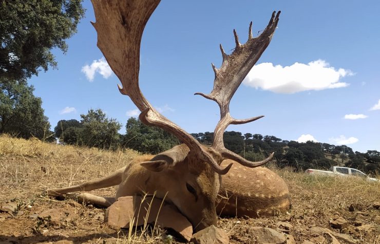 Montería en Los Quintos