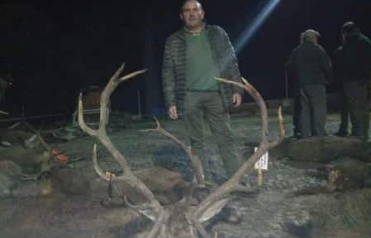 Montería en Navaredonda