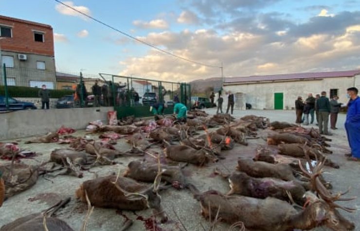 Montería en Las Palomerillas