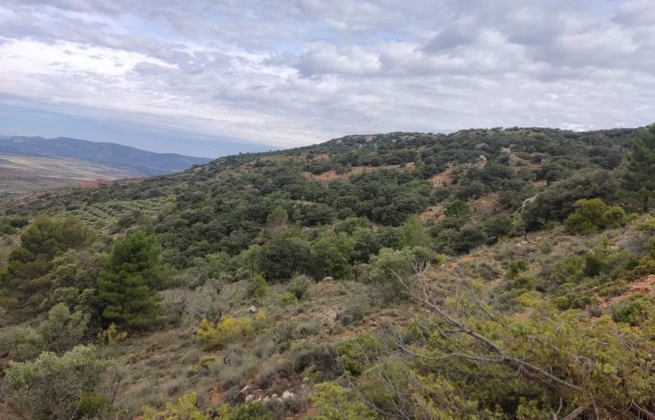 Montería en Tedelche