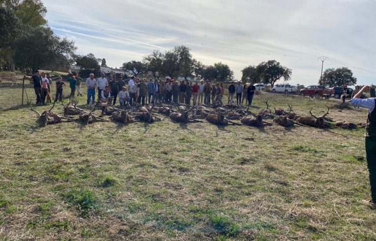 Montería en La Liebre
