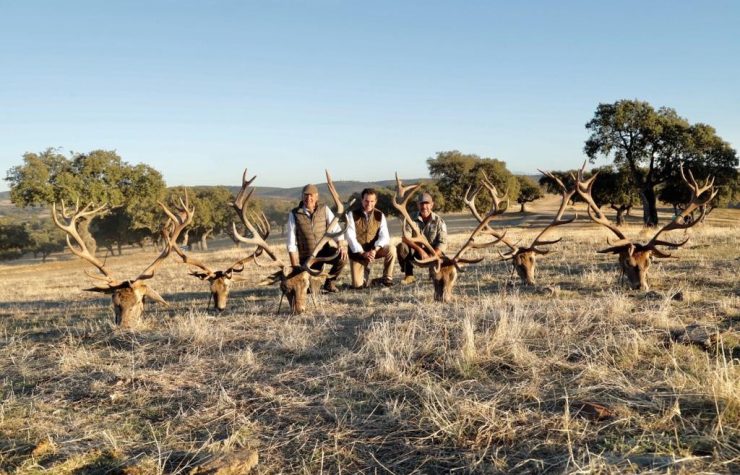 Montería en Sardina
