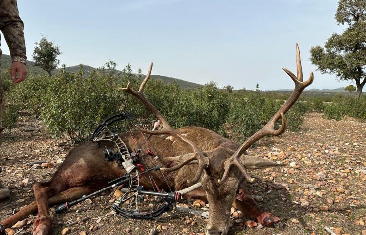 Montería en Los Pinos