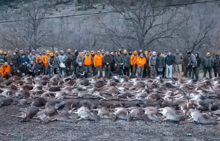 Montería en La Serna