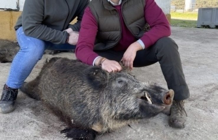 Montería en Parapuños