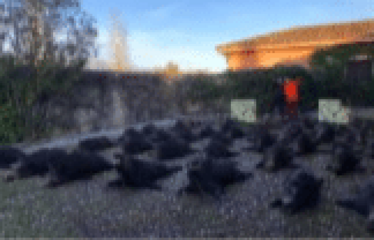 Montería en Valmorisco