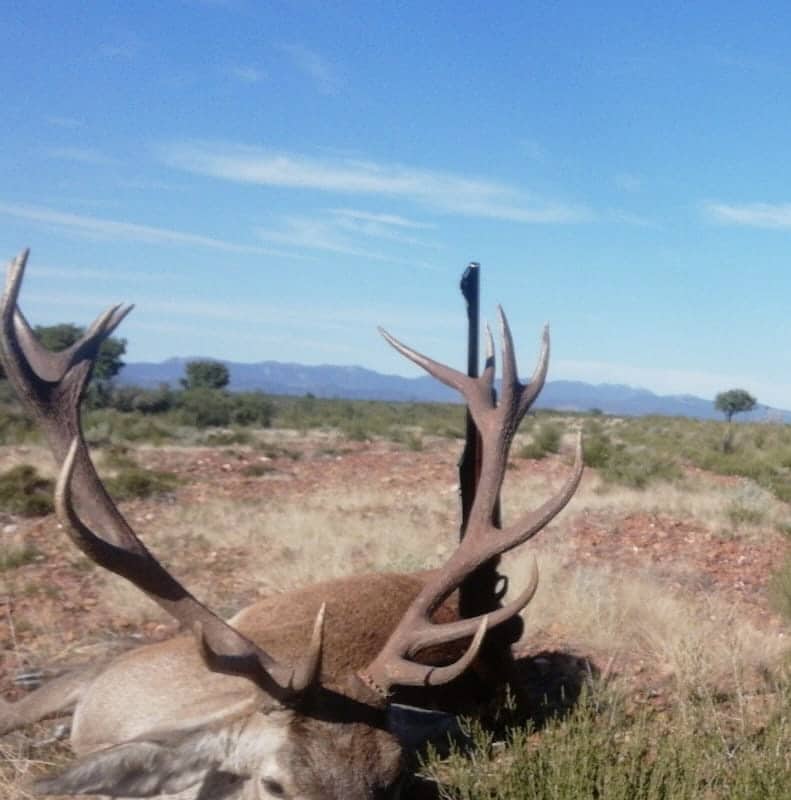 Montería en Espinosilla