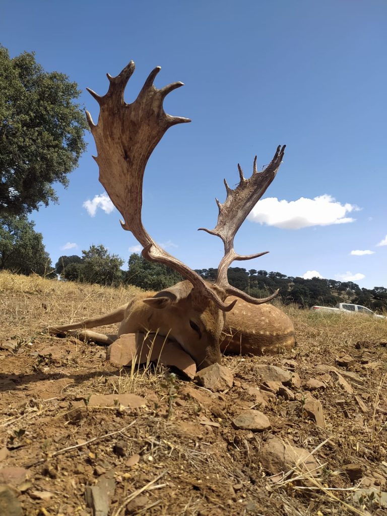 Montería en Los Quintos