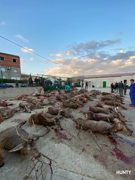 Montería en Las Palomerillas