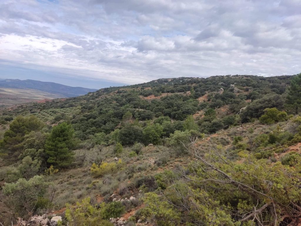 Montería en Tedelche