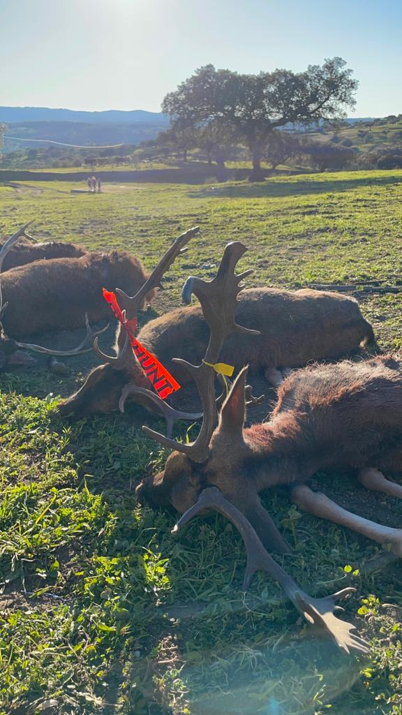 Montería en Los Bayones