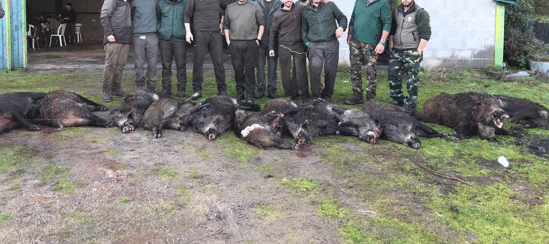 Montería en Los Hoyos