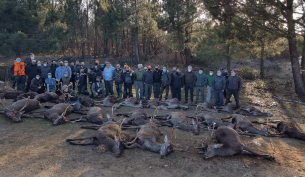 Montería en Pinilla del Campo