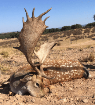 Montería en Valdepuercas