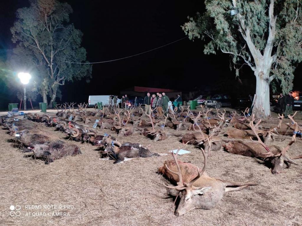 Montería en la Cruz.