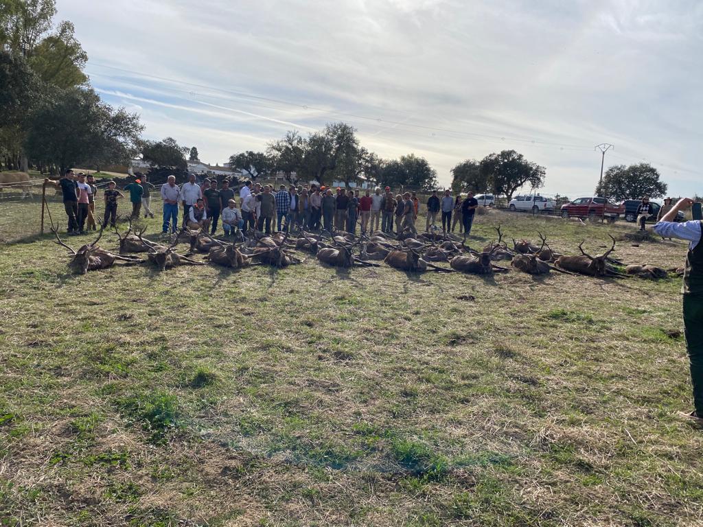 Montería en La Liebre