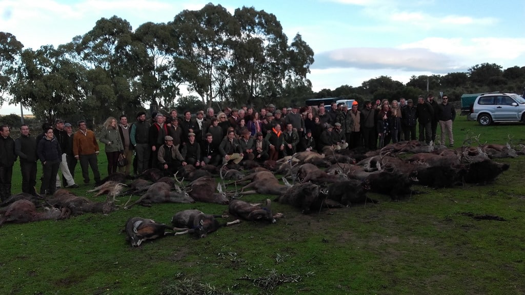 Montería en Lapones-Ballesteros