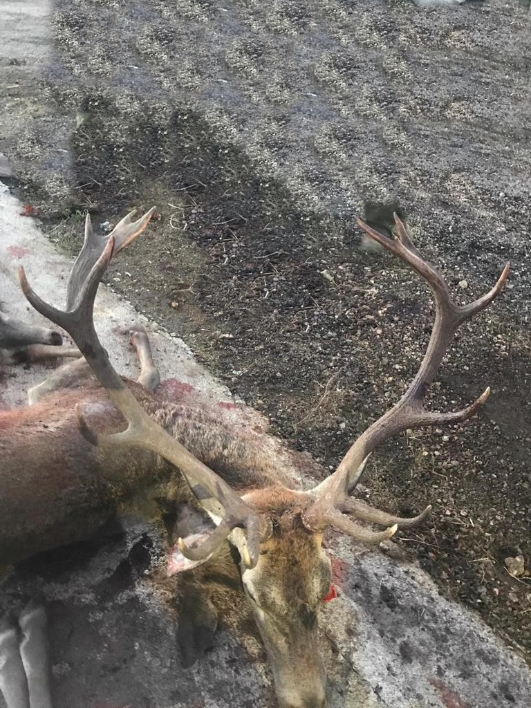 Montería en Cerro Blanco