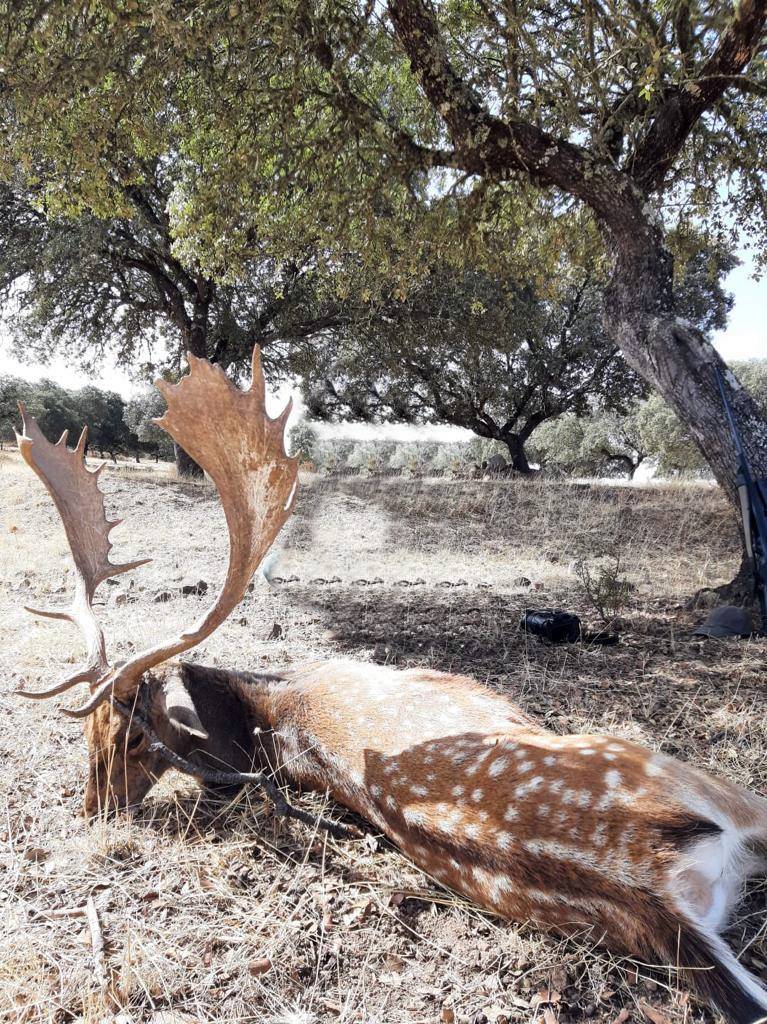 Montería en La Losa