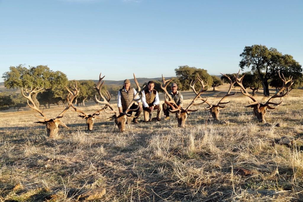 Montería en Sardina