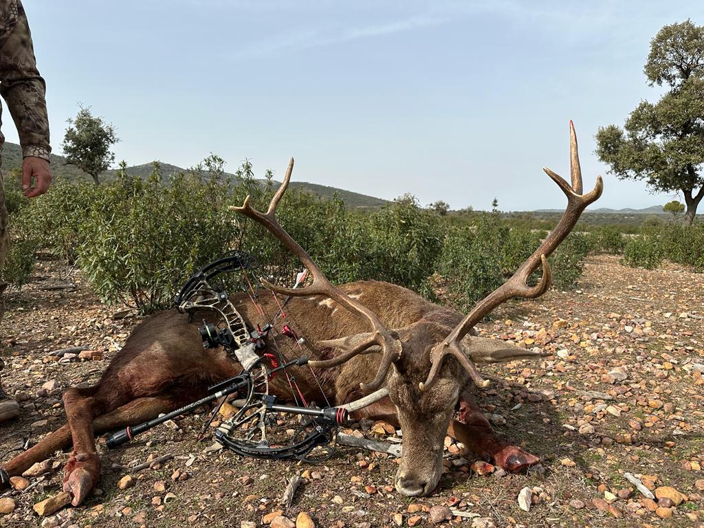 Montería en Los Pinos
