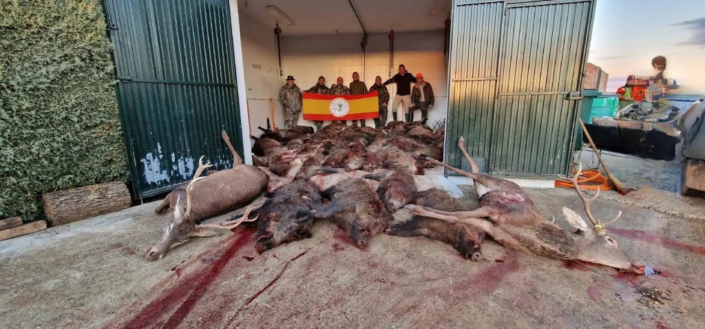 Montería en Sigüenza