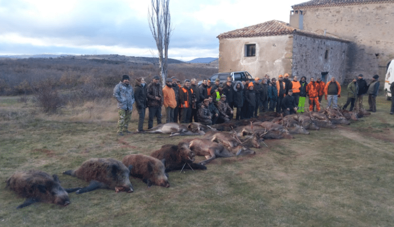 Montería en Valdegeña
